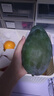 【源頭直發(fā)】凱特芒新鮮水果應當季生鮮 帶箱2斤 中大果【單果200-300g】 曬單實(shí)拍圖