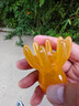 八爪魚頭部經(jīng)絡(luò)按摩梳樹脂小章魚梳頭皮穴位按摩器肩頸刮痧護(hù)理梳 大號章魚按摩梳【1個】 曬單實(shí)拍圖