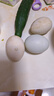 【熱銷百萬單】正宗咸鴨蛋50g/枚飽滿流油生鮮超市早餐新鮮即食 10枚【活動專享】 曬單實拍圖