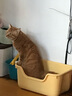 皇家（ROYAL CANIN）貓糧泌尿貓糧呵護泌尿系統配方飲水利尿養護貓咪泌尿系統 U31泌尿道呵護-成貓糧/2KG 曬單實(shí)拍圖