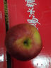 趣嘗鮮 云南紅露蘋(píng)果脆甜 凈重4.5斤大果 單果75mm+ 11-14只裝源頭直發(fā) 曬單實(shí)拍圖