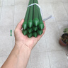 園藝支柱包塑鋼管支花架黃瓜豆角葡萄種菜植物爬藤架支撐桿綠植架 直徑20mm 長(zhǎng)度210cm【10支裝】 曬單實(shí)拍圖