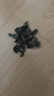 京覓東北黑木耳250g 肉厚無根 山珍特產(chǎn)干貨菌菇?jīng)霭枋巢幕疱伈?曬單實(shí)拍圖