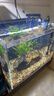坤寧王金晶超白玻璃魚(yú)缸40*30方缸家用小型裸缸桌面造景溪流缸烏龜缸 曬單實(shí)拍圖