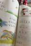 【新華書(shū)店】正版2025適用小學(xué)一年級(jí)上冊(cè)語(yǔ)文數(shù)學(xué)書(shū)全套課本人教版教材教科書(shū)1一年級(jí)上冊(cè)語(yǔ)文數(shù)學(xué)課本全套書(shū) 一上全套語(yǔ)文部編版 【2本】一年級(jí)上冊(cè)語(yǔ)文數(shù)學(xué)人教版 曬單實(shí)拍圖