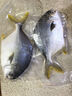 翔泰海南深海金鯧魚700g 2條 燒烤 火鍋 生鮮魚類 BAP認證 海鮮水產 曬單實拍圖