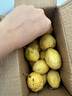 廣西欽蜜9號黃金百香果萬澄當(dāng)季新鮮大果黃皮果奶茶店水果 【1斤 約11-17個】單果30-45g 曬單實拍圖