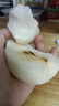 京鮮生河北特產(chǎn)水晶鴨梨 凈重3斤 單果200g+ 生鮮水果 源頭直發(fā)一件包郵 曬單實(shí)拍圖