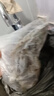 海之幫新鮮青島大蝦超大蝦凍蝦白蝦鮮活冷凍對蝦大號青蝦海鮮批發(fā) 16-18厘米活蝦速凍 3斤(凈重) 曬單實(shí)拍圖