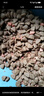 麥富迪貓糧 超肉粒凍干雙拼成貓糧美毛護(hù)腸三文魚10kg/20斤【寵物金選】 曬單實(shí)拍圖