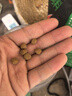 森森（SUNSUN）錦鯉魚飼料觀賞魚金魚飼料專用魚糧增色不渾水魚食錦鯉專用 綜合營養(yǎng)6mm大顆粒 5斤裝 曬單實(shí)拍圖