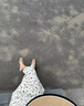 OLJ奢侈高端品牌女鞋小皮鞋2025新款淺口一腳蹬時尚方頭軟底平底單鞋 抹茶綠 37 曬單實拍圖
