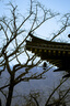 騰龍（Tamron）旗艦店A058 35-150mmF2-2.8全畫幅FE卡口/Z口大光圈騰龍35-150鏡頭變焦微單鏡頭騰龍35150人像鏡皇 索尼E卡口 官方標(biāo)配【送藍(lán)艦UV+騰龍128G卡+腳架 曬單實(shí)拍圖