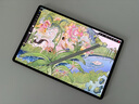HUAWEI MatePad Pro 12.2英寸 2025 柔光版 華為平板電腦 雙層OLED柔光屏 WIFI 12GB+512GB 硯黑  曬單實拍圖