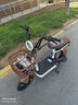 臺鈴電動自行車【國家補(bǔ)貼】Q糖50KM長續(xù)航電動車48V13AH鉛酸小錦鯉小果粒歡樂豆彩深棕 曬單實(shí)拍圖