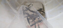 螺絲青魚(yú)苗批發(fā)淡水活魚(yú)苗次日達附近本地特大螺螄青黑鯇草魚(yú)苗烏青魚(yú)苗 20條6-8厘米青魚(yú)苗【送10%防損】 曬單實(shí)拍圖