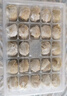 袁記味享x鮮京采 袁記云餃鮮蝦蟹籽三拼云吞拼盤24顆500g鮮肉早餐餛飩 曬單實拍圖