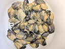 生蠔肉新鮮鮮活現(xiàn)剝冷凍大號牡蠣肉去殼純?nèi)夂ｕr純蠔仔肉海鮮水產(chǎn) 2斤裝精品生蠔肉  [大號]30-40粒/斤 曬單實(shí)拍圖