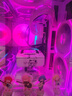 雷克沙（Lexar）1TB SSD固態(tài)硬盤 ARES 戰(zhàn)神系列 M.2接口(NVMe協(xié)議) PCIe 4.0x4 讀速7400MB/s TLC顆粒 游戲裝機 曬單實拍圖