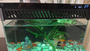 米家（MIJIA）智能生態(tài)魚(yú)缸還原自然生態(tài) 智能魚(yú)缸+濾芯套裝 曬單實(shí)拍圖