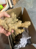 東方甄選云南小黃姜3斤裝生姜辛辣姜香濃郁當(dāng)季時令蔬菜/ 1.5kg 新鮮采鮮姜發(fā)貨姜味濃郁姜絲細(xì)密 曬單實拍圖