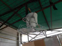 美的（Midea） 頂扇樓頂扇吸頂扇商用學(xué)校宿舍工業(yè)大風(fēng)力節(jié)能交流定頻壁扇家用客廳搖頭吊頂風(fēng)扇 FD40-11A 曬單實(shí)拍圖