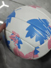 薩達排球中考訓練專(zhuān)用標準5號體考初中生小學(xué)生高彈耐磨比賽硬排軟排 5號 【升級加厚軟皮】楓葉粉藍 曬單實(shí)拍圖