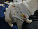 華元寵具（hoopet）貓咪絕育服寵物母貓小狗狗幼貓手術(shù)服透氣斷奶服公貓防舔術(shù)后衣服 曬單實(shí)拍圖