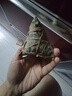 五芳齋 速凍蛋黃豬肉粽 100g*5只 嘉興粽子蛋黃肉粽端午粽子早餐食品 曬單實(shí)拍圖