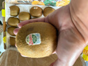 佳沛（zespri）綠奇異果特大果22-25個原箱裝單果約133-176g 水果禮盒獼猴桃 曬單實拍圖