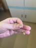 XUPING旭平首飾仿水晶心形ins耳釘女生七夕情人節禮物X000454099 耳釘B款 曬單實(shí)拍圖
