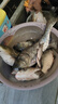 川澤線組主線全套進(jìn)口魚線成品線組套裝釣鯽魚競(jìng)技線組正品大物線組 4.5m【4卷裝】+收納盒剪刀 1.5號(hào) 曬單實(shí)拍圖
