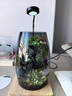 丘辰苔蘚微景觀養(yǎng)魚(yú)生態(tài)瓶diy辦公室內(nèi)桌面綠植擺件花卉盆栽生日禮物 翠微香（實(shí)木底座） 曬單實(shí)拍圖
