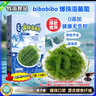 海葡萄【藍盒裝300g】鹽漬海藻植物魚(yú)子醬兒童愛(ài)吃網(wǎng)紅零食附蘸料 一盒【送蘸料醬油芥末】 曬單實(shí)拍圖