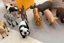 babycare&bctoys動物玩具動物桶熊貓老虎獅子長頸鹿模型玩具 曬單實拍圖
