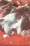 牛肉牛腿肉生鮮本地黃牛肉10斤牛前驅(qū)牛后驅(qū)小炒紅燒牛肉國產(chǎn)商用 5斤牛腿肉（送料包） 曬單實(shí)拍圖