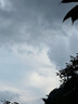 樂(lè )優(yōu)佰易 成人長(cháng)款連體雨衣帶帽檐安保戶(hù)外工地安全反光雨衣 曬單實(shí)拍圖