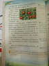 陽(yáng)光同學(xué) 2025秋新版 同步作文小達人 四年級上冊語(yǔ)文人教版 小學(xué)生四年級作文書(shū)上冊同步寫(xiě)作范文作文書(shū)大全寫(xiě)作技巧專(zhuān)項訓練 曬單實(shí)拍圖