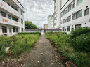 德力西大功率電動割草機手持充電式打草機小型家用農(nóng)用開荒鋰電除草神器 旗艦版【10節(jié)4.0Ah】1電1充 【中國500強企業(yè)】全新官方正品 曬單實拍圖