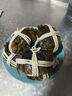 【活蟹】乾澄大閘蟹現(xiàn)貨 2.3-2.6兩8只 足斤足兩鮮活六月黃螃蟹生鮮海鮮禮盒裝源頭直發(fā) 曬單實(shí)拍圖