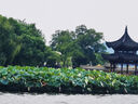 鸚鵡籠加密鳥籠子加高玄風(fēng)籠加密鳥籠組裝虎皮鸚鵡籠豪華繁殖鳥籠 黑色42*32*60cm有輪+10cm 套一(托盤+綠碗*2+站崗*2) 曬單實拍圖
