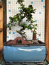 陶瓷中式拱橋模型小橋彷真創(chuàng  )意擺件微景觀(guān)水族箱假山魚(yú)缸造景布景 [紫砂款]小號拱橋 曬單實(shí)拍圖