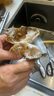 舟山梭子蟹特大活凍野生新鮮大螃蟹大閘蟹生鮮水產(chǎn)飛蟹大肉蟹 特大梭子蟹【7-9兩/只 】?jī)糁?斤 曬單實(shí)拍圖