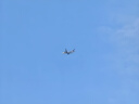 輕功【健將同款】輕功靈波微步AIR四分訓練跑步短褲運動(dòng)透氣速干褲子 【男款】墨紫 XL 曬單實(shí)拍圖