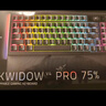 雷蛇（Razer）蛛皇 黑寡婦蜘蛛V4無線專業(yè)版75%機械游戲鍵盤 無線/藍(lán)牙三模 熱插拔客制化 OLED屏 GASKET結(jié)構(gòu)  曬單實拍圖