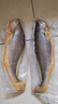 GUO LIAN國聯(lián)三去黃花魚(yú)2條共凈重2斤國產(chǎn)寧德東海大黃魚(yú)中秋聚餐海鮮食材 曬單實(shí)拍圖