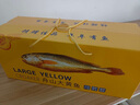 鮮喜利舟山大黃魚(yú)禮盒深海黃花魚(yú)鮮活冷凍生鮮海鮮年貨禮包新鮮水產(chǎn)商用 2條無(wú)禮盒（單條凈重1斤） 曬單實(shí)拍圖