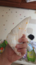 安可新 嬰兒7A抗菌蠶絲一次性七角圍嘴【40片】獨立裝寶寶免洗圍兜 綠車(chē) 曬單實(shí)拍圖