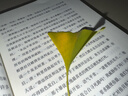 教父（2023修訂版）（9項奧斯卡電影《教父》原著(zhù)?！督谈浮肥悄腥说恼軐W(xué)?。ㄗx客懸疑文庫） 小說(shuō) 雙11大促 曬單實(shí)拍圖