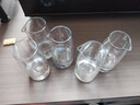 DKO白酒杯分酒器100ml套裝酒壺小酒杯洋酒杯 白酒家用二兩白酒杯酒盅 10ml茅T杯6+100ml無把分酒器6 曬單實拍圖